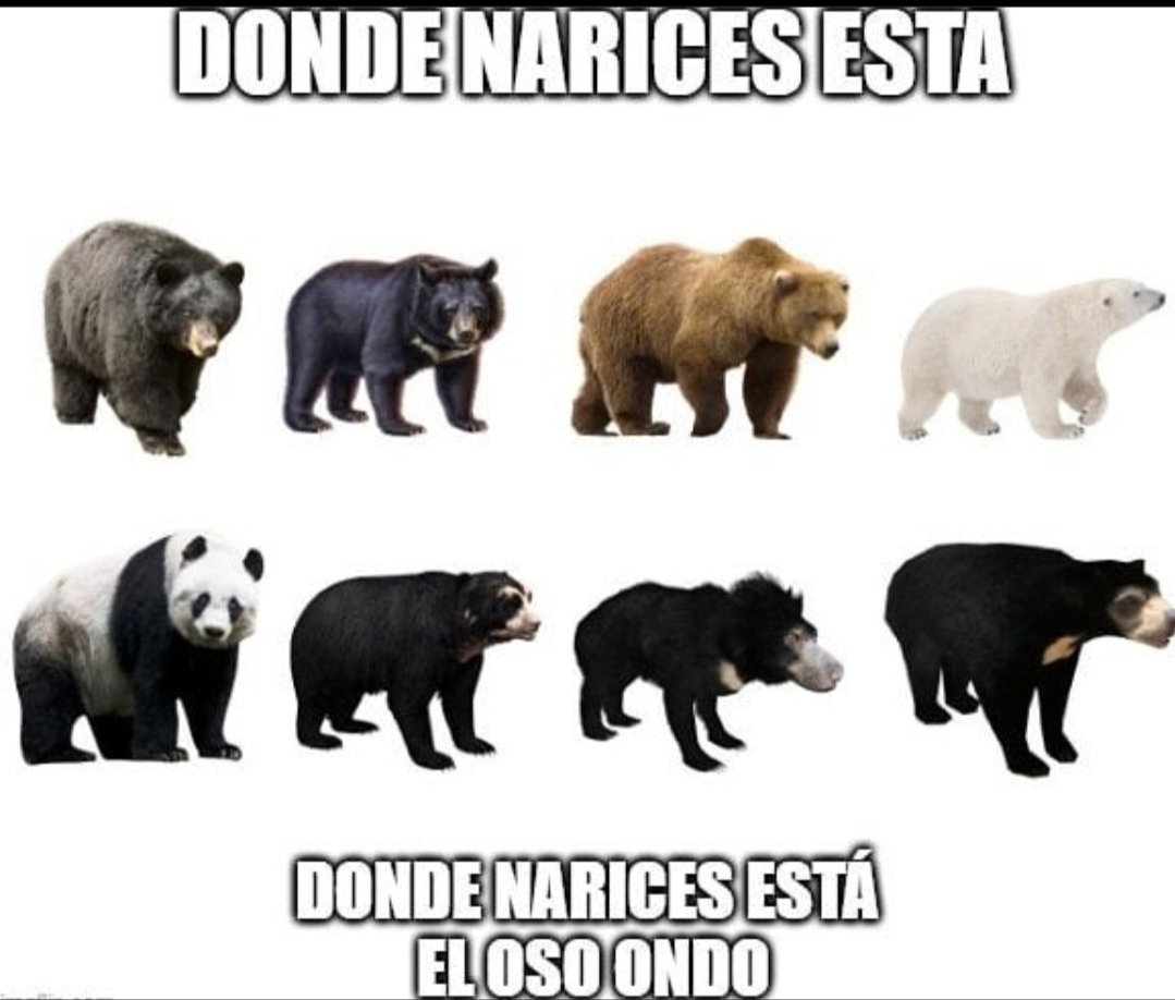 Sabinismo (@arranobaltzaa) on Twitter photo 