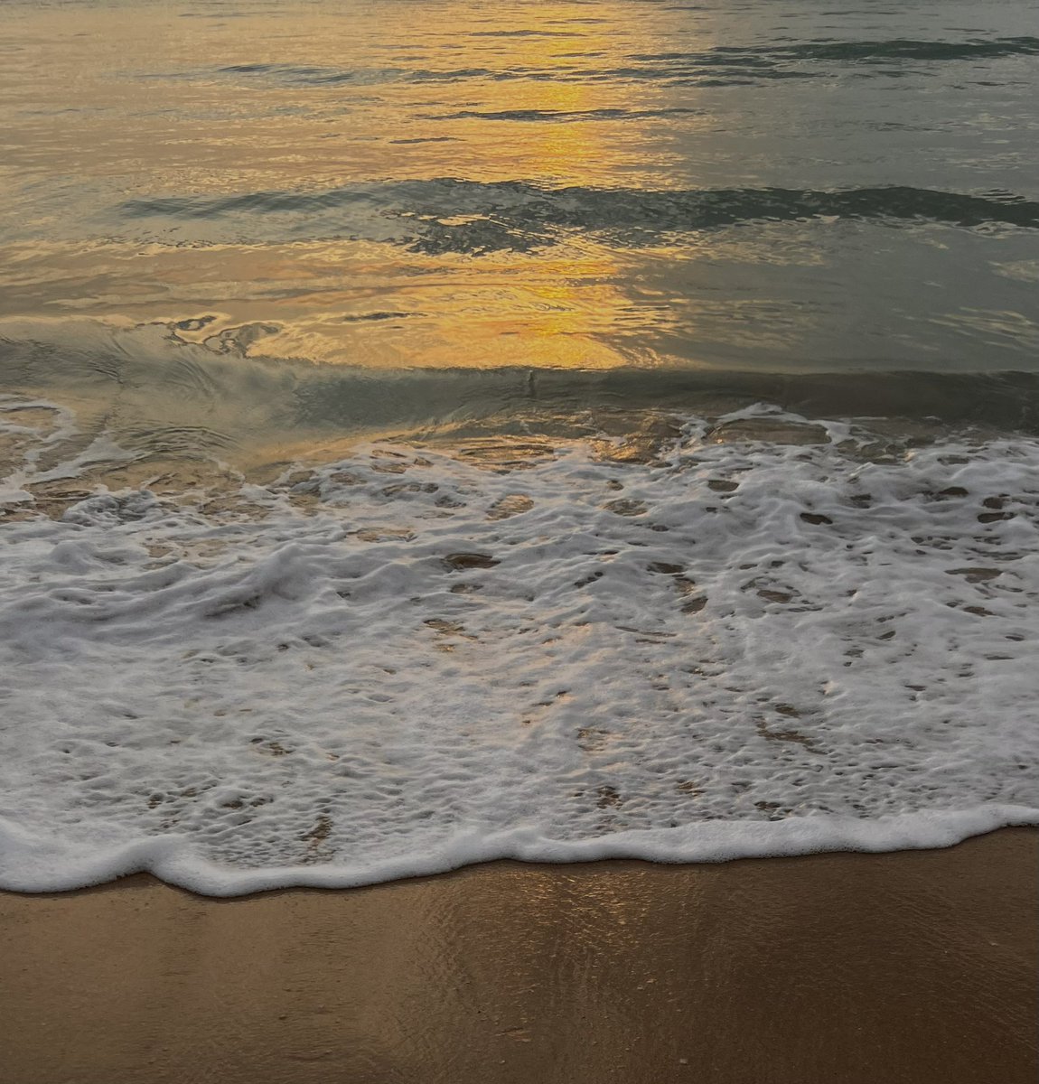 merrysunkissd's tweet image. 여름바다 𓂃 ✳︎