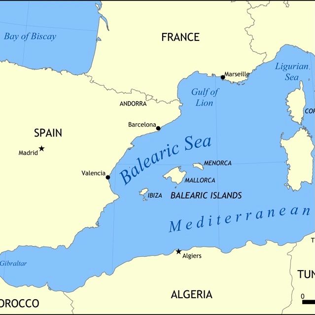 vetiverspain's tweet photo. #vetivergrass #thebalearics #ibiza #mallorca #menorca 

Did you know we supply direct to these islands ? 

What to know more then DM us or order direct from our website. https://t.co/MBBRc9pkPK