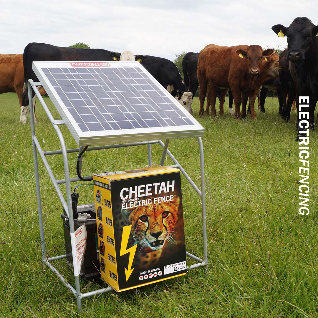 Cheetah electric fence online