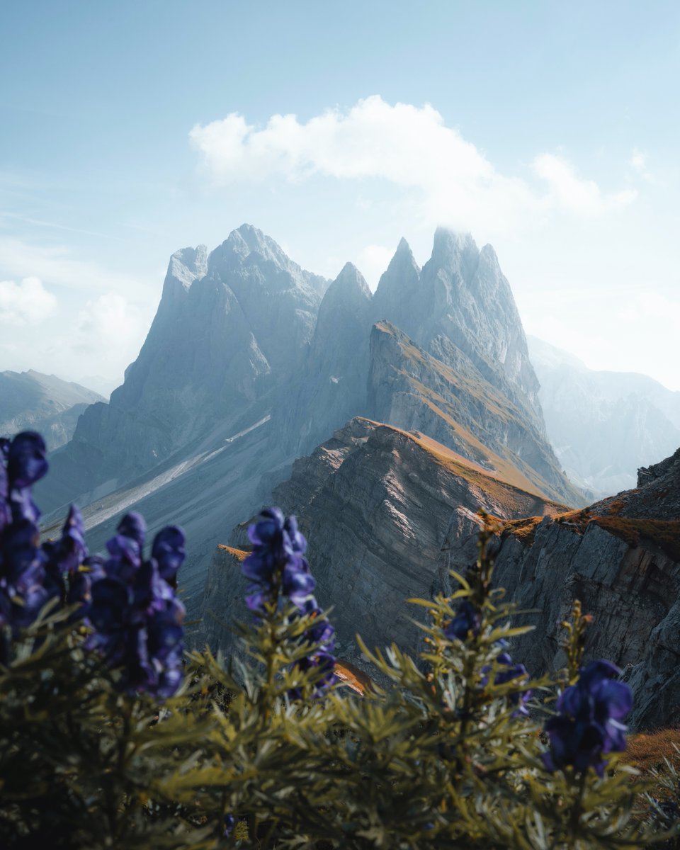 GM ☕️ NFT Artists and Collectors 🎨