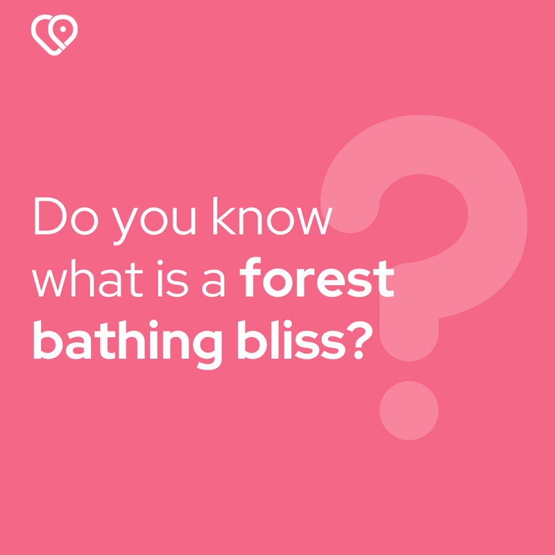 HubPure's tweet image. "Through conscious and contemplative immersion in nature, shinrin-yoku, or forest bathing, is proving a popular antidote to the stresses of urban life, writes Aleney de Winter." 

Read the entire article: purehealthhub.com/forest-bathing…  

#PureHealthHub #MindfulFocus #Stresses