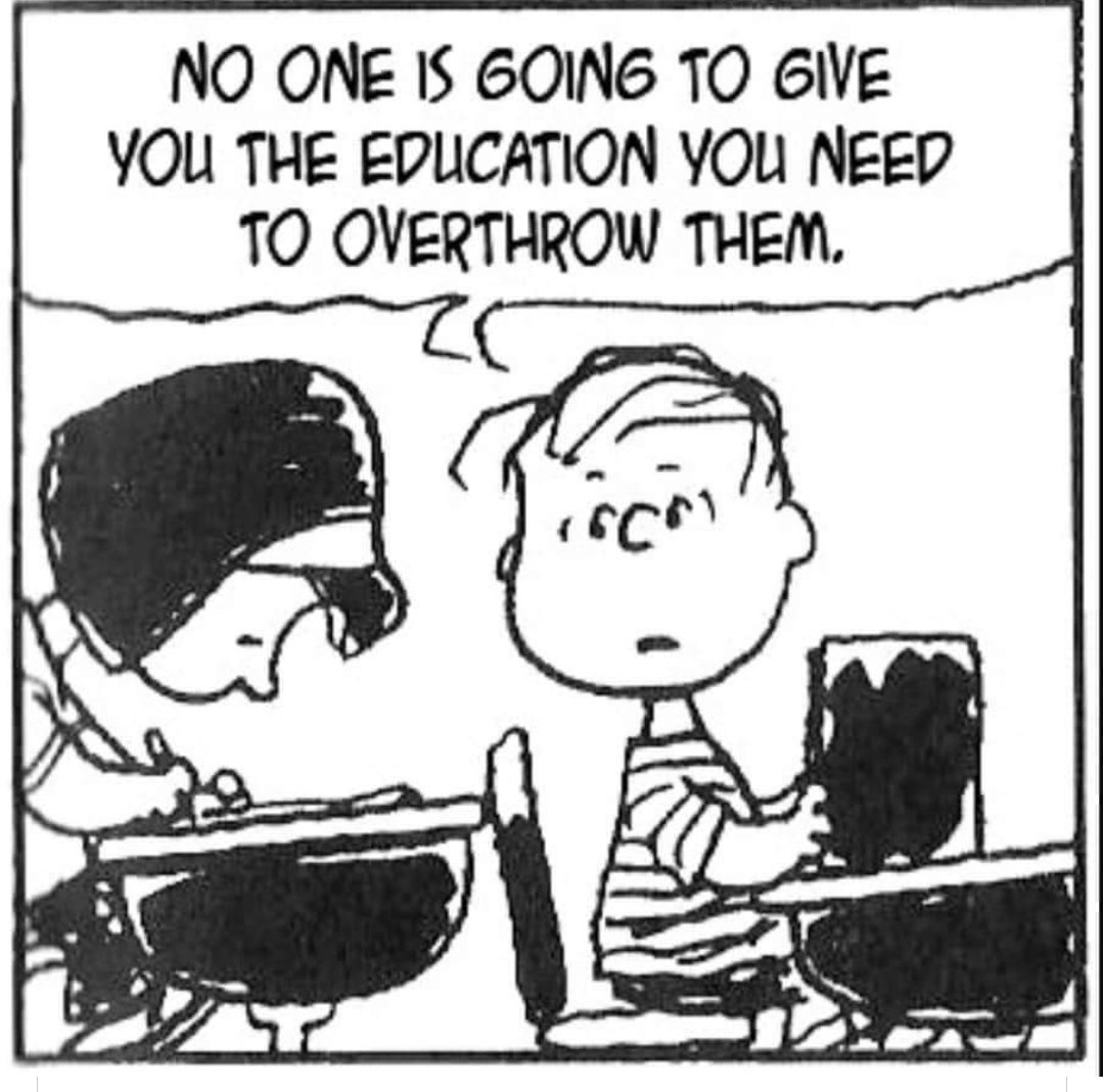 Ravenclaw 💙🌊 tweet media