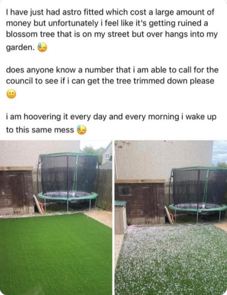MilesKing10's tweet photo. #naturephobia there's a lot of it about. https://t.co/m7zHVHS8Mc