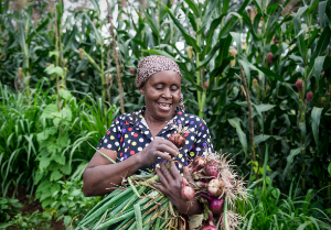KBiogas's tweet photo. Bio-slurry, a byproduct of biogas produces an excellent organic fertilizer that improves crop yields – the trickle effect is more vegetables to sell, provides families with extra income. https://t.co/opElo4PBf8
