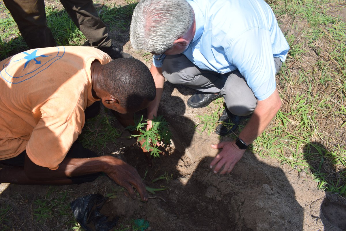 Let us go green and conserve mother nature.