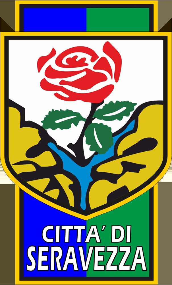 Seravezza Calcio tweet media