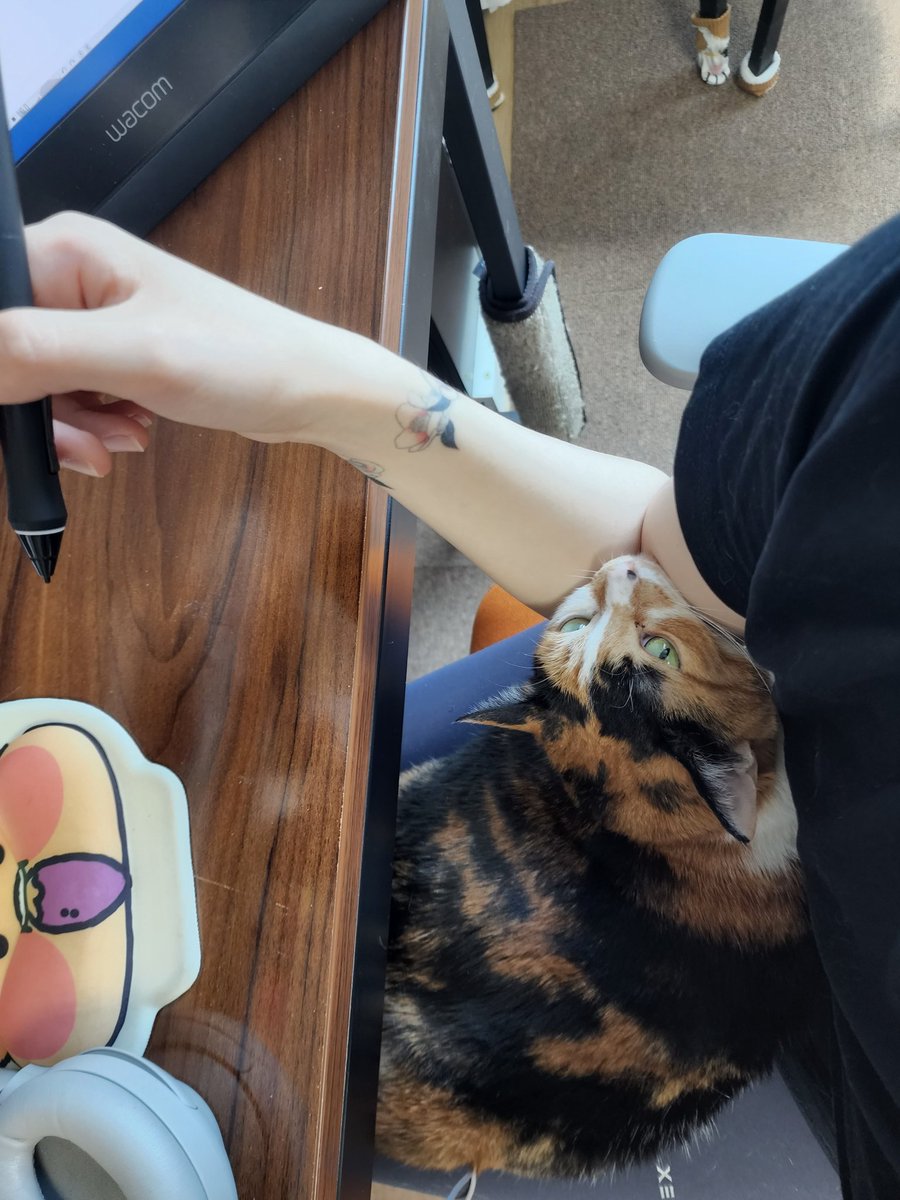 yeneex2's tweet photo. 모하는..거야? https://t.co/Uv3DKuFxhv