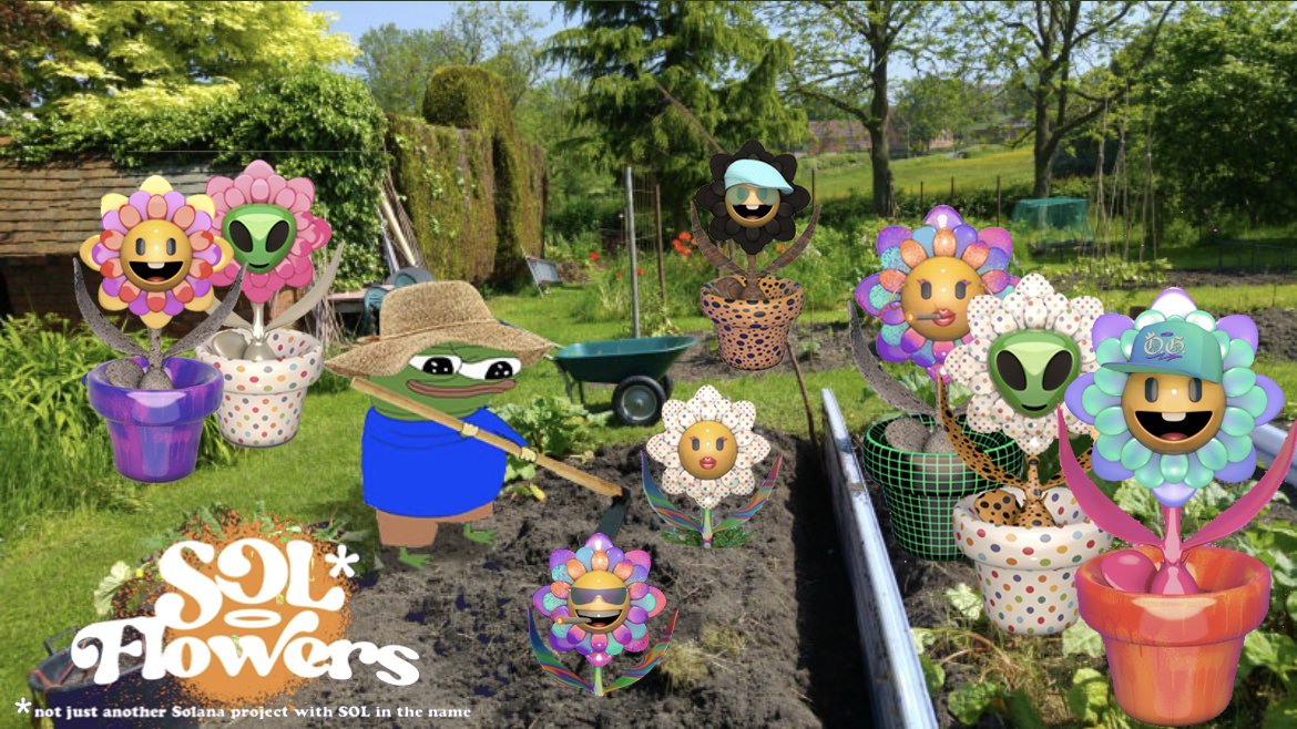 nocturne1717's tweet photo. April showers bring May flowers 🌼✨
#LFGROW @solflowers_io 
#IAMGROOT #FLWR 
Tagging my flower friend @Fiddy_sol 😀 https://t.co/ZmPiFa2eEU