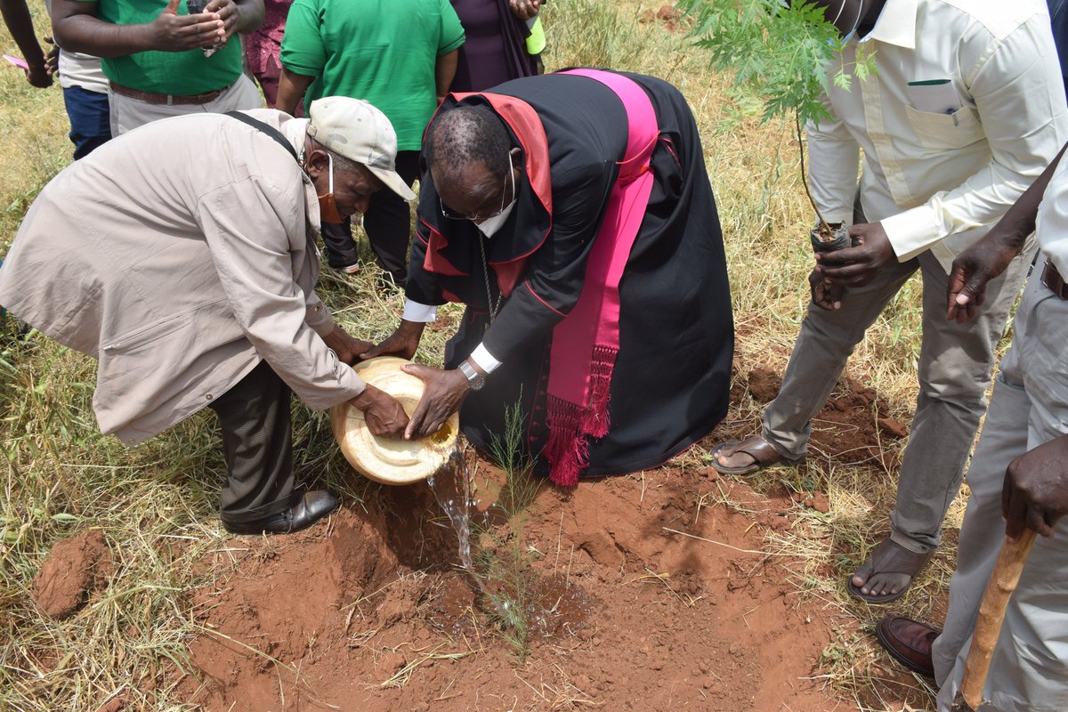 Rains being unpredictable for a long time. Just planting trees will change the situation.