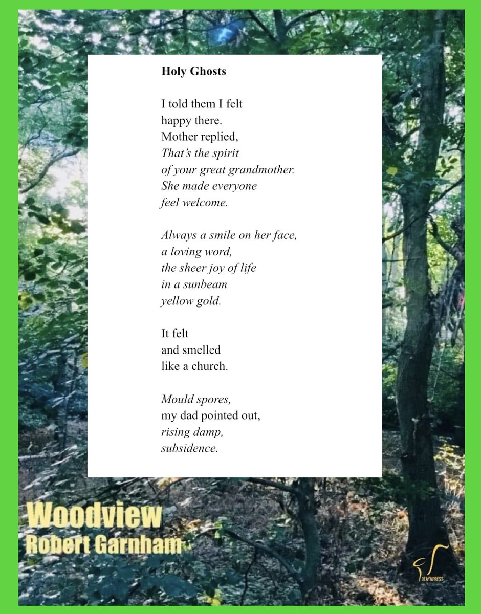 RobertGarnham's tweet photo. From Woodview, shortly to be published by @beatnpress https://t.co/BL9CuLcG4N