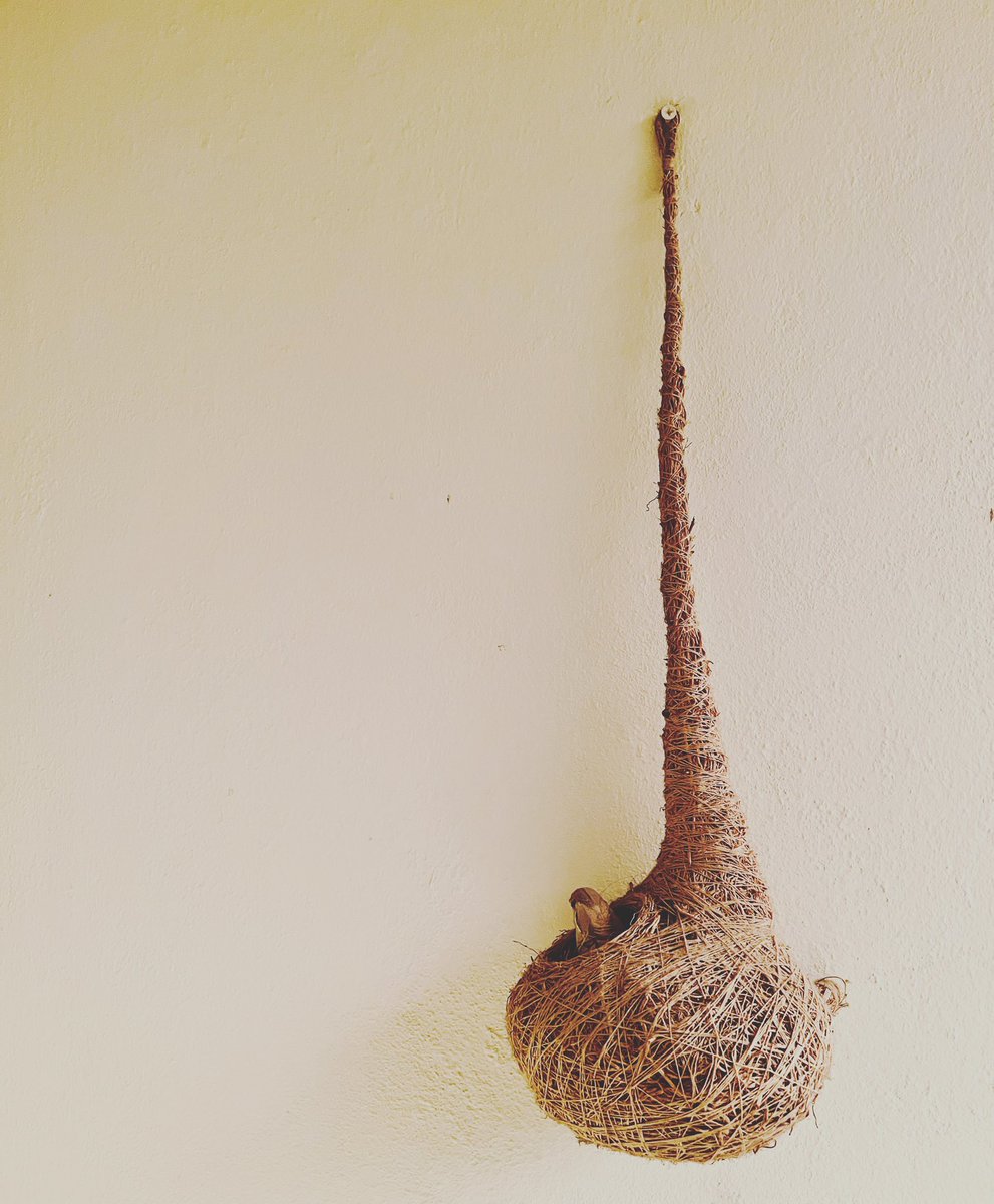 parinitarb's tweet photo. To an unexpected trip back to the nest.🥂

#bangaloreisbae #mane #smellofrain #homecoming #eidbreak https://t.co/eMn1mhSmsv