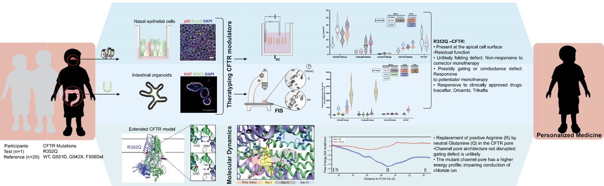Dr Shafa Waters (@shafawaters) on Twitter photo May is #CFAwarenessMonth. Check out our #miCF recent publication: Molecular Dynamics and Theratyping in Airway and Gut Organoids | doi.org/10.1165/rcmb.2… <a href="/UNSWMedicine/">UNSW Medicine & Health</a> <a href="/CFAustralia/">Cystic Fibrosis Aust</a> <a href="/kids_research/">Kids Research</a> <a href="/schf_kids/">Sydney Children's Hospitals Foundation</a> <a href="/AJRCMB/">ATS Red Journal</a> May is #CFAwarenessMonth. Check out our #miCF recent publication: Molecular Dynamics and Theratyping in Airway and Gut Organoids | doi.org/10.1165/rcmb.2… <a href="/UNSWMedicine/">UNSW Medicine & Health</a> <a href="/CFAustralia/">Cystic Fibrosis Aust</a> <a href="/kids_research/">Kids Research</a> <a href="/schf_kids/">Sydney Children's Hospitals Foundation</a> <a href="/AJRCMB/">ATS Red Journal</a> 