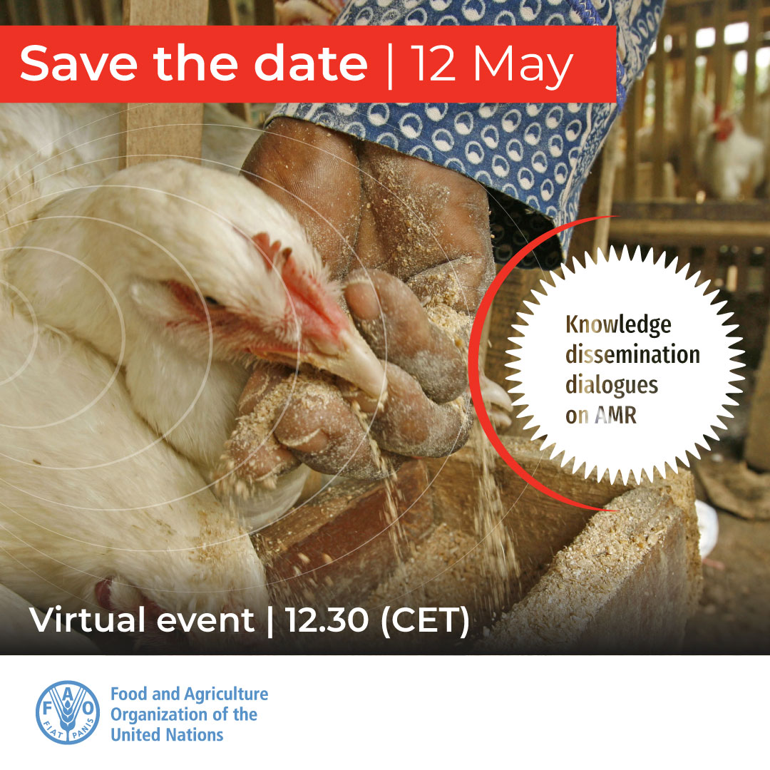 .<a href="/FAO/">Food and Agriculture Organization</a> webinar #AMR knowledge dissemination dialogues: #animalnutrition options to reduce use of #antibiotics in #animalproduction

👉 Save-the-date &amp; register bit.ly/3JXM8jH
📅 12 May 2022
⏰ 12:30 CET