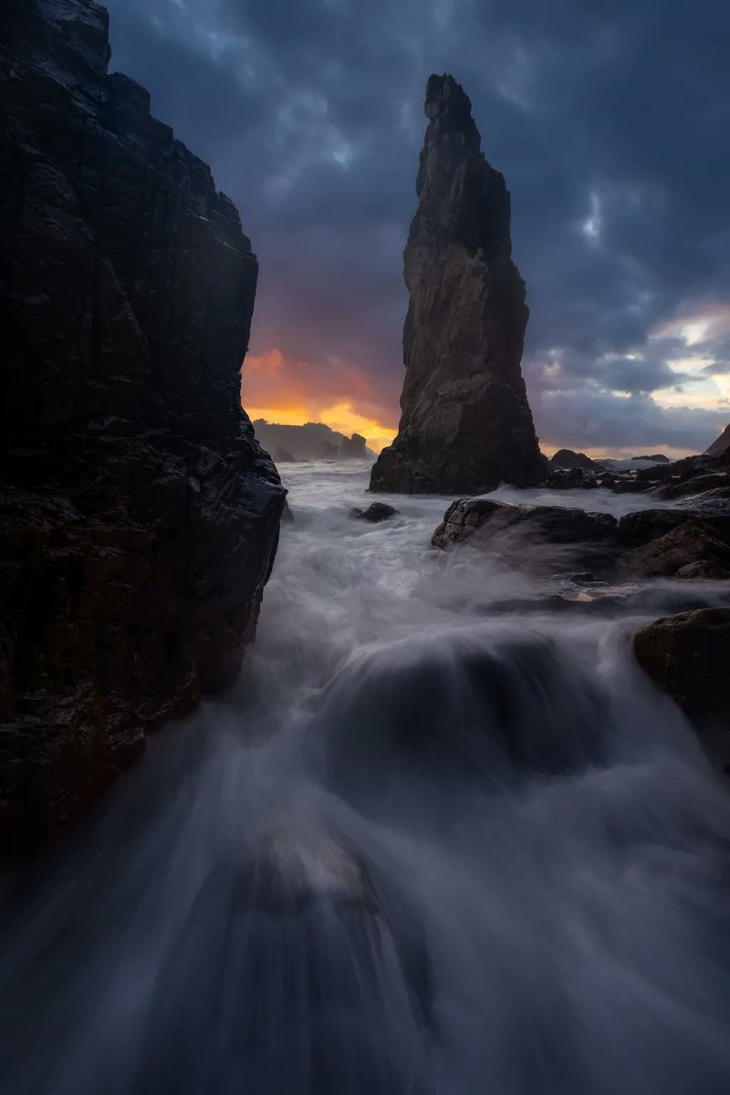 GM Guys. I miss the adrenaline rush of taking pictures like this. maybe this weekend.
opensea.io/collection/gua…