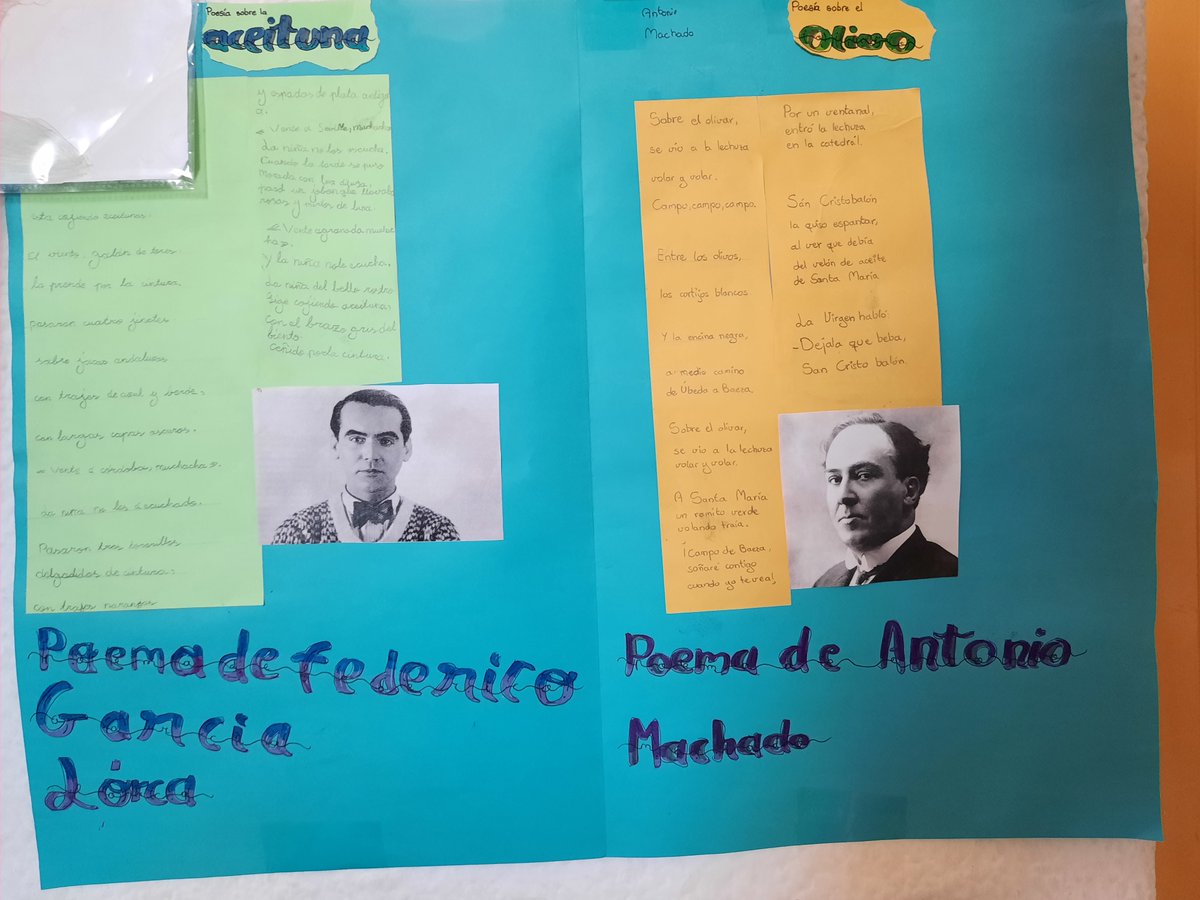 CEIP VIRGEN DEL MONTE tweet media