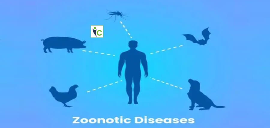 #India could become the biggest #hotspots for new zoonotic #viraldiseases those that spread from #wildlife to other #mammals.

Read More: cutt.ly/aGKn5sG

#ZoonoticDisease #Disease #zoonoticviraldiseases #wildlifeinteractions #news #healthcare #healthcaremagazine