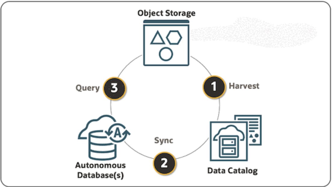 the_kashe's tweet photo. #Oracle #Autonomous Database synchronisation with OCI Data Catalog has new parameters that provide more control over how the synchronisation is performed.

https://t.co/fNk9Mcx8hy https://t.co/CdkvEm95mK