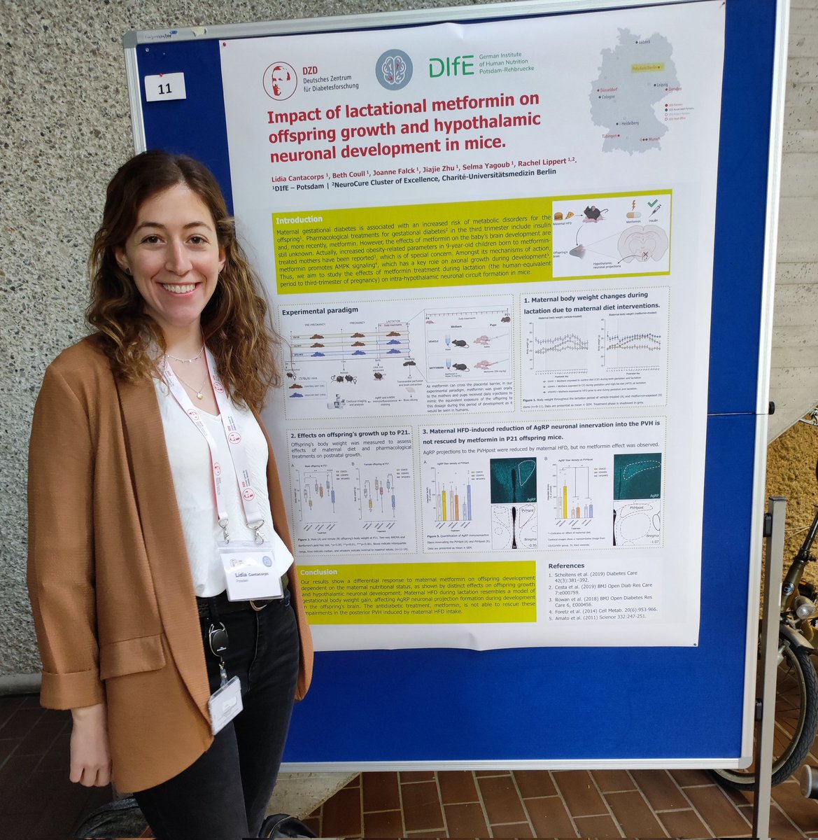 LidiaCantacorps's tweet photo. Poster presented ✅ Happy to share my project and discuss some data with young scientists! #DZDNext @DiabResearch #TeamLippert https://t.co/fL907KnOz6