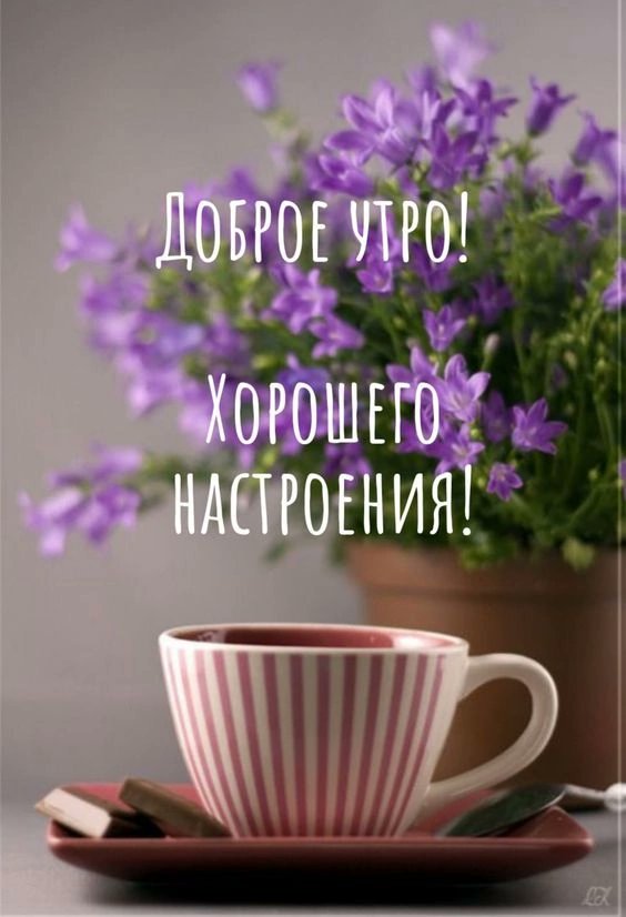 Валентина Домарева tweet media