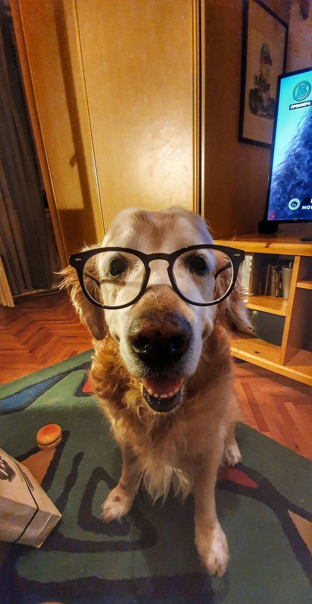 Набериус. on Twitter: \"1 година.. фалиш 🖤🖤 https://t.co/m0Wk6RhUhG ...