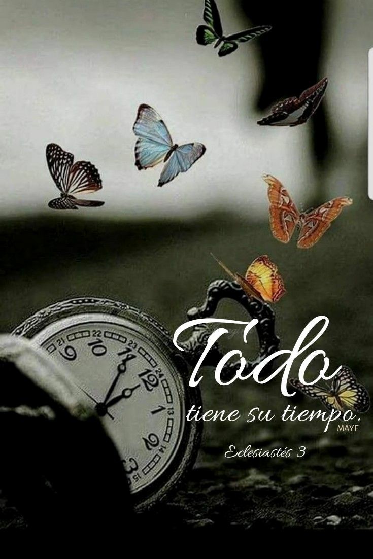 Mentedementa2's tweet photo. Vivimos con prisa, necesitamos las cosas ya y cuando las tenemos ya pensamos en las siguientes...
Simplemente buscamos cosas y personas para saciarnos, es en el momento que empezamos a disfrutar del camino cuando de verdad saboreamos la vida.
#BuenosDias #FelizMiercolesATodos https://t.co/4eMMfnzxu1