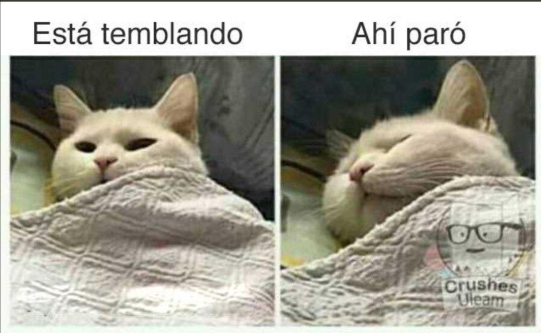 Canylina's tweet image. Otra vez #temblor