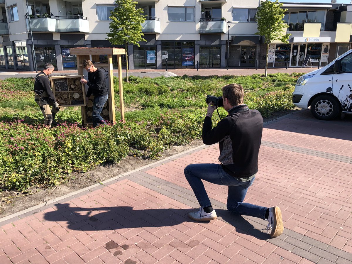 Bijenhotelkopen.nl 🐝 tweet media