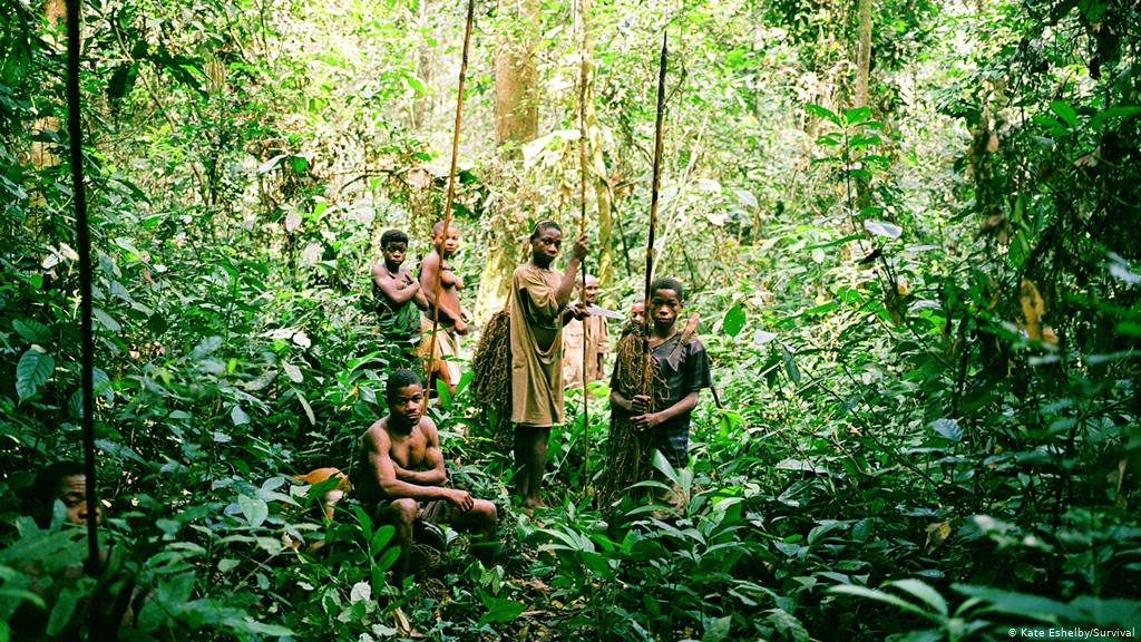 The Congo Rainforest
Thousands upon thousands of years in the making
Supporting all life on Earth and keeping the planet cool
Yet man is managing to destroy it in such a short space of time
<a href="/vanessa_vash/">Vanessa Nakate</a> <a href="/Remy_Zahiga/">Remy Zahiga</a>

Never Give up #CongoIsBleeding
SaveCongoRainforest.wixsite.com/congo