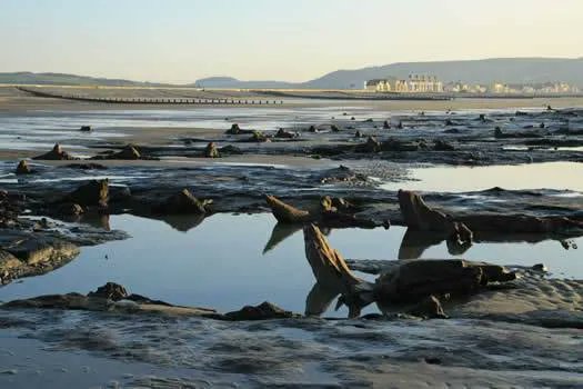 #LocalAndCommunityHistoryMonth 📍 Borth Bronze Age Submerged Forest

Usually hidden beneath the sand, these magically preserved stumps appear when tide is low. It is believed they form part of Cantre'r Gwaelod - a legendary lost kingdom, drowned beneath the waves.