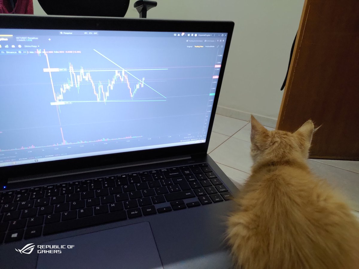 jefferson_p3's tweet photo. Boooooooom dia, seus careca de tanto perder dinheiro no Daily trade...!! 

Hoje a coisa muda, pode apostar! 
😝 https://t.co/NgplWQy1Z2