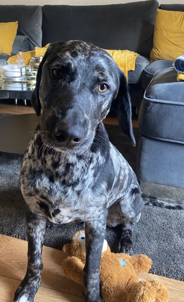 Little fella’s 1st birthday today 🎂 🥳