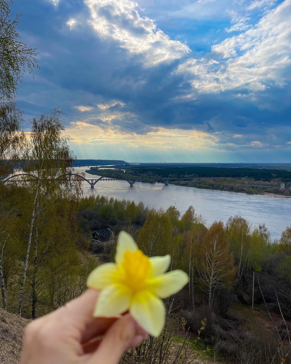 good morning friends! how do you get inspired?
#Russia #NFTGiveaway #nftart #NFTCommunity #inspiration