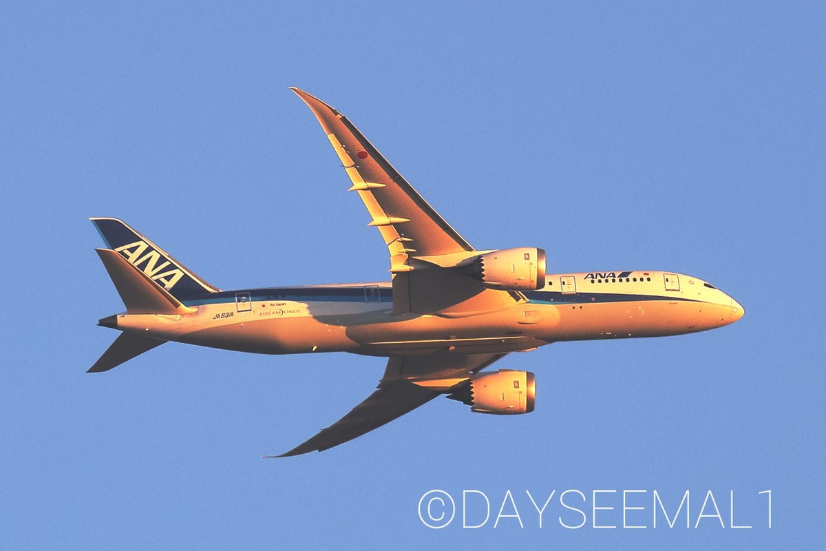 DAYSEEMAL1's tweet photo. An ANA Bowing 787-8 landing in Tokyo Haneda International Airport.
2022/1/2
#JA831A
#NH626(KOJ→HND) https://t.co/udWVT5FkLm