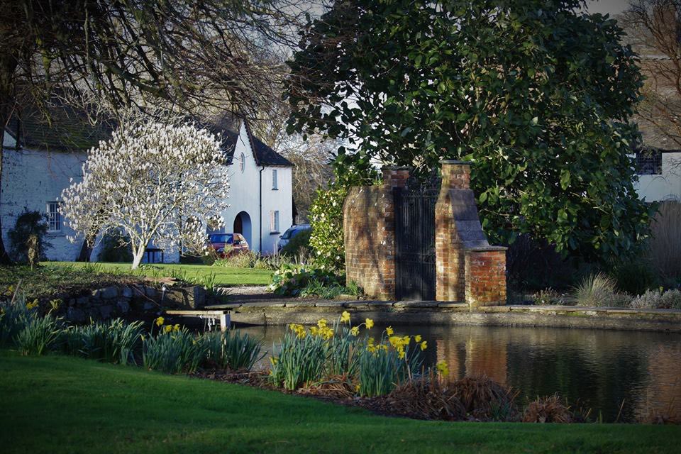 GwentNGS's tweet photo. CORRECTION - LLANOVER GARDEN POP-UP OPENING TODAY, 4th May, 12-4pm Pay on arrival https://t.co/FmjoLk2YhP