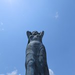 ゆうフォトのツイート画像