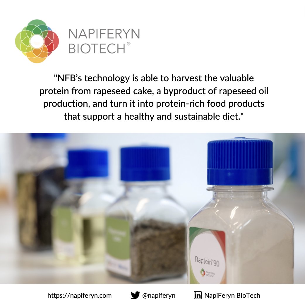 napiferyn's tweet photo. With funding support from the EU’s Horizon 2020 programme, we’ve been focused on developing and implementing technology-driven processes that turn waste from rapeseed oil production into valuable food protein (Raptein™ food formulations)!

#h2020 #smeinstrument #smei #eufunds https://t.co/RfBt91U1TO
