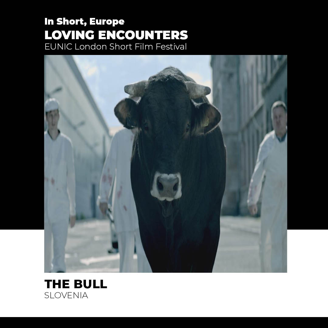 📽️🎞️2/2 The #Bull, a short drama by the #Slovenian filmmaker #BojanLabovic will be screened as part of #InShortEurope film fest on Sat 7 May, 6:30pm at @ifru_london #LovingEncounters Tickets & Info: tinyurl.com/4nuampcj