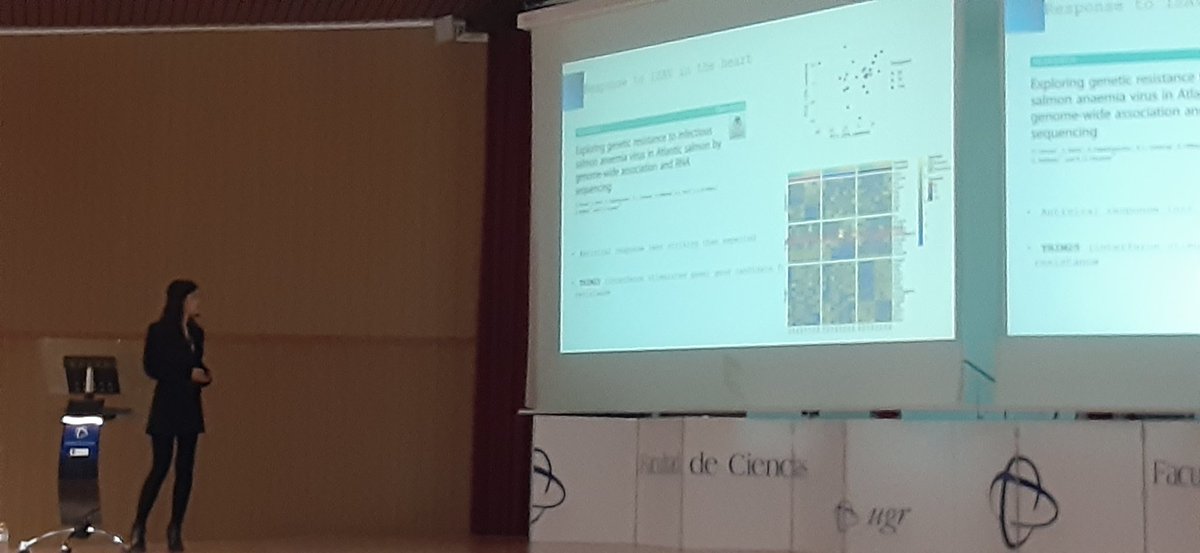Sarah Salisbury (@salisbury_fish) on Twitter photo Great talk <a href="/gia2020/">GIA2020</a> by <a href="/OGervais_/">Ophélie Gervais</a> from <a href="/roslininstitute/">The Roslin Institute</a> on using single cell RNAseq to drill down into the cellular mechanisms underlying immune response to infectious salmon anaemia in Atlantic Salmon. Great talk <a href="/gia2020/">GIA2020</a> by <a href="/OGervais_/">Ophélie Gervais</a> from <a href="/roslininstitute/">The Roslin Institute</a> on using single cell RNAseq to drill down into the cellular mechanisms underlying immune response to infectious salmon anaemia in Atlantic Salmon.