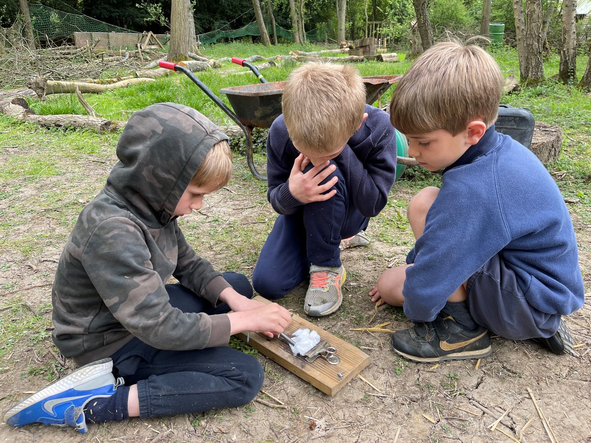 Beachborough Trips tweet media