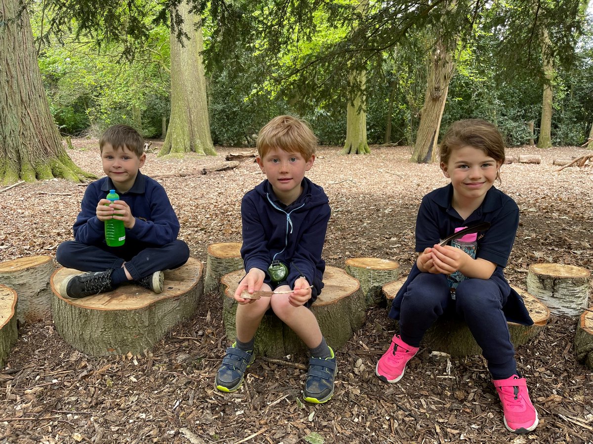 Beachborough Trips tweet media