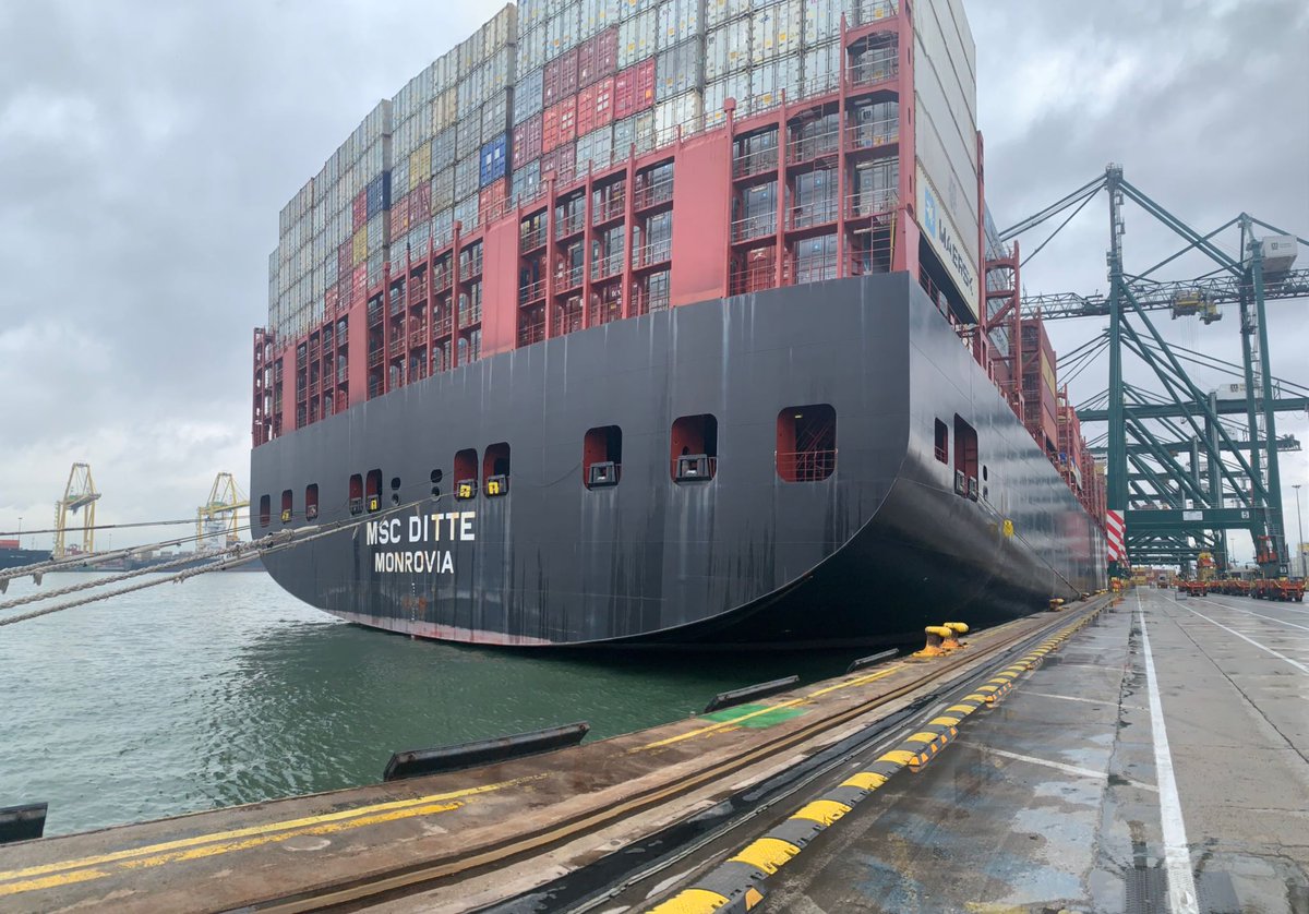 Prodevelop tweet media