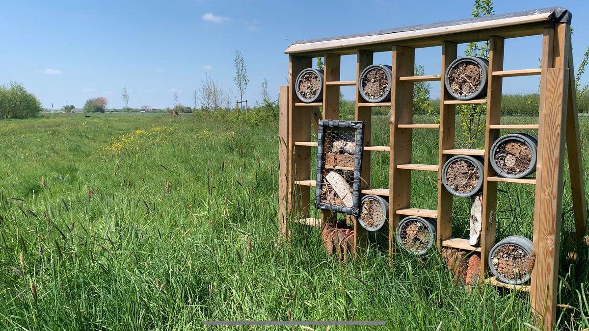 Molenlanden_Gem's tweet photo. Even een kijkje genomen genomen bij Ecotuin Lutjeswaard in Hoornaar. Mooi om te zien hoe dit initiatief vanuit de inwoners inmiddels letterlijk tot bloei is gekomen. Een bezoekje meer dan waard! #molenlanden #hoornaar #ecotuin https://t.co/aNGaVQxdP7