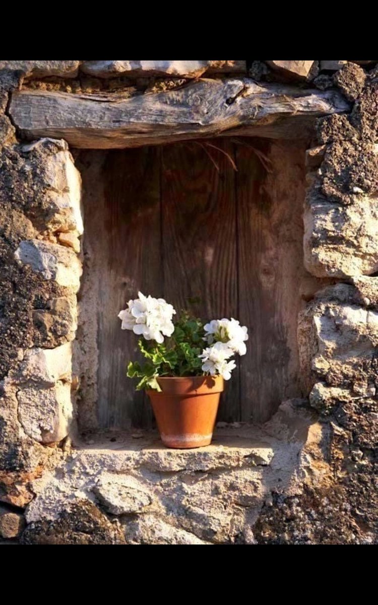 Für mich ist die Schweiz das gelobte Land