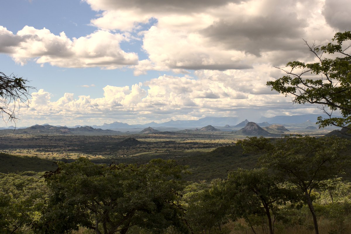 Gomorezvidinha's tweet photo. Textures of Nyanga. 

#Nyanga #Zimbabwe https://t.co/EFnsZ21IVA