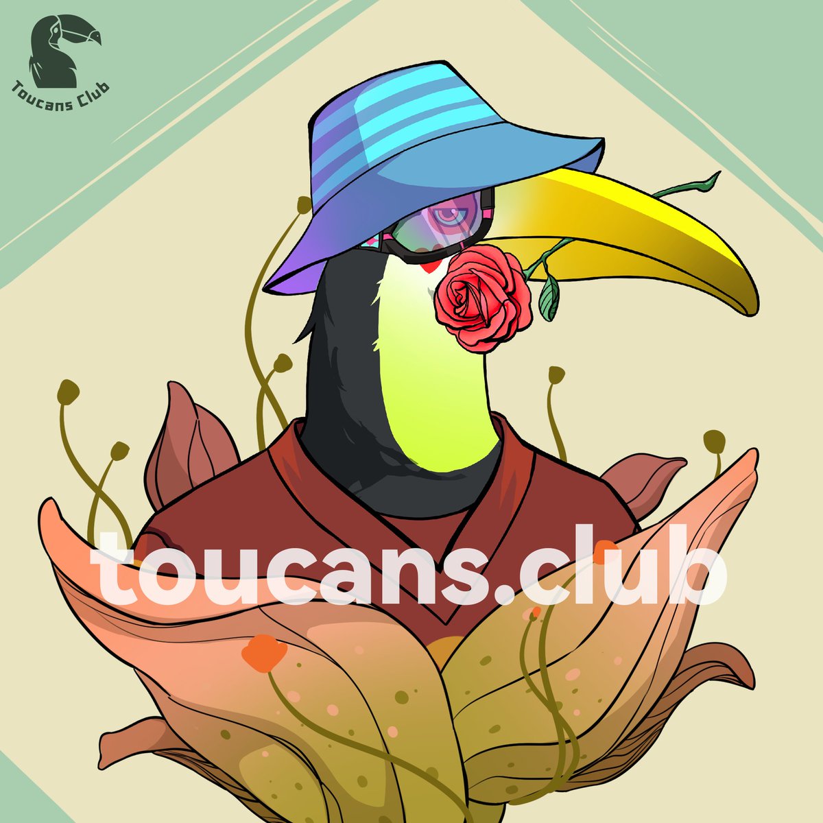 Toucans Club tweet media