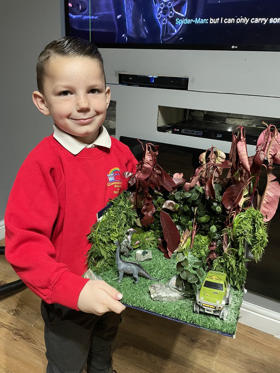 Keeley_cherry's tweet photo. @QueenboroughSN Harrison’s dinoland🦕 he made yesterday his well happy to be bringing it to school today 😀 https://t.co/RCbZZTUeyb