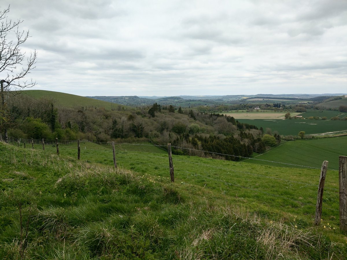 ShelleyHass's tweet photo. Enjoyed a beautiful 11km walk with my cousin through the countryside of Cranborne Chase AONB last week. #roadtrip2 #Dorset https://t.co/bxex9xi10n