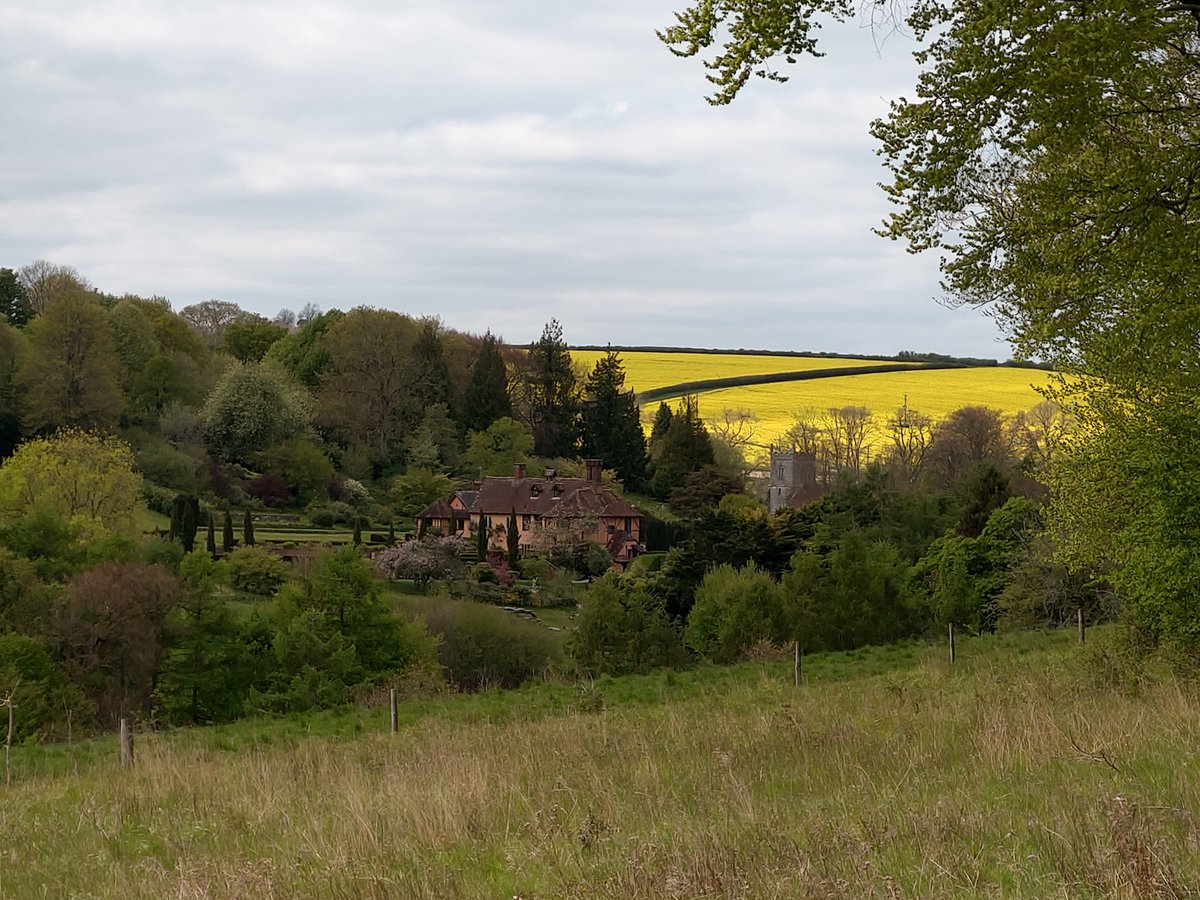 ShelleyHass's tweet photo. Enjoyed a beautiful 11km walk with my cousin through the countryside of Cranborne Chase AONB last week. #roadtrip2 #Dorset https://t.co/bxex9xi10n