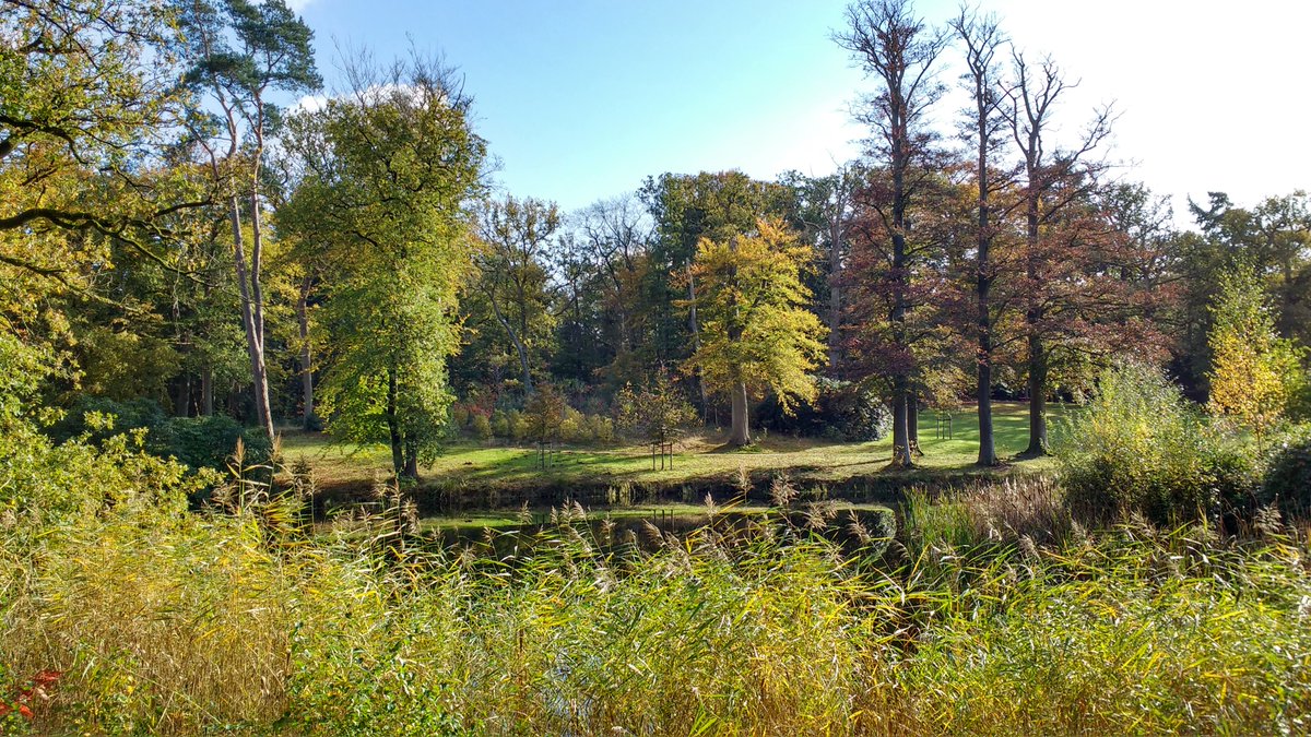 GroeneRuimte tweet media